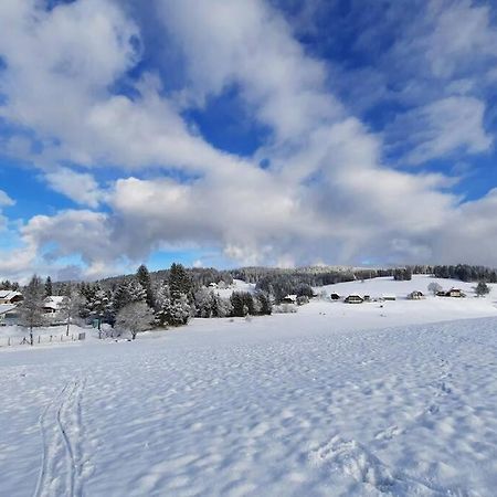 Gemuetliche Ferienwohnung Fuer 4 Gaeste In Schoenwald Schönwalde Buitenkant foto